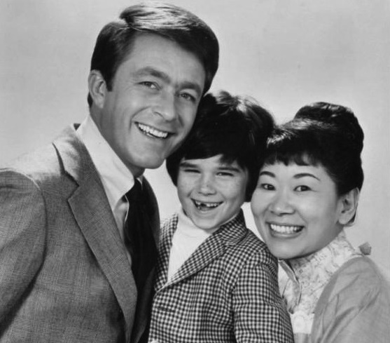Can You Name These 1960s TV Shows? (Hard Level) Quiz 09 The Courtship of Eddie's Father