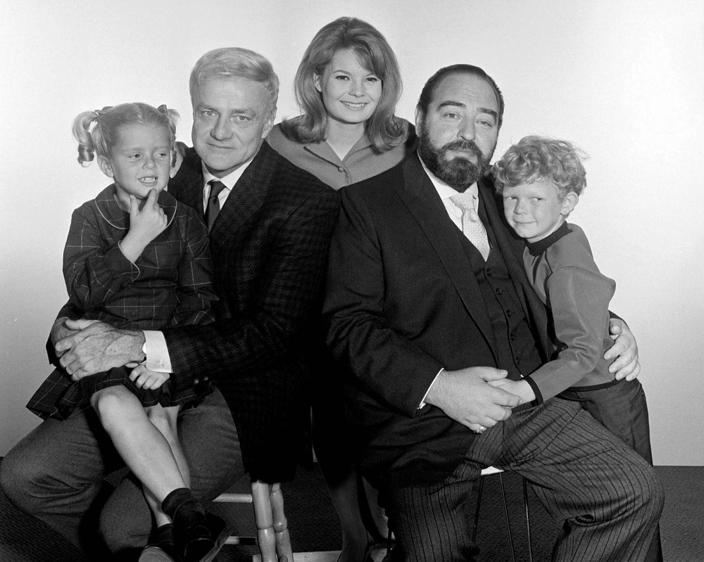 Can You Name These 1960s TV Shows? (Hard Level) 14 Family Affair