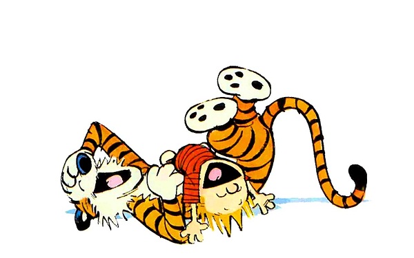 How Well Do You Know “Calvin and Hobbes”? a3