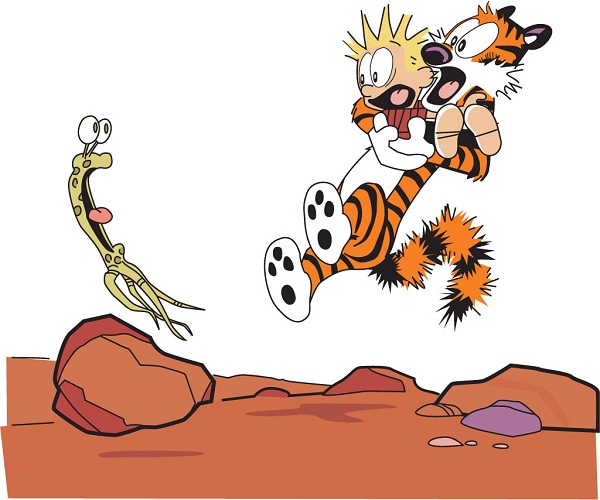 How Well Do You Know “Calvin and Hobbes”? 