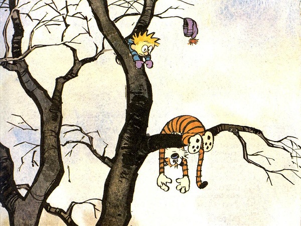 How Well Do You Know “Calvin and Hobbes”? a11