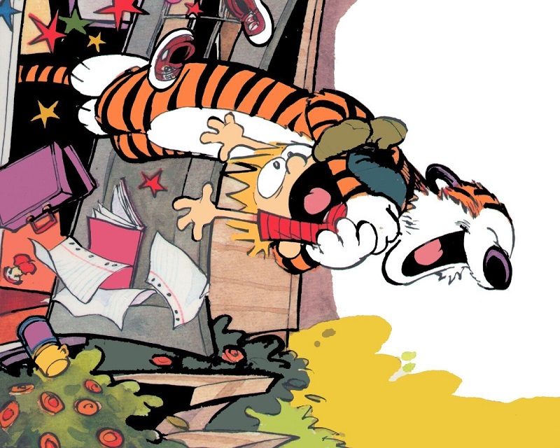 How Well Do You Know “Calvin and Hobbes”? a13