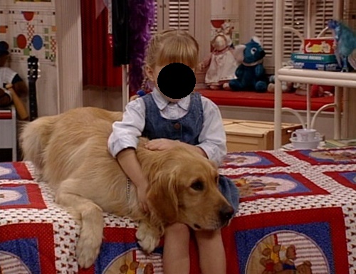 Can You Match the Dog to the TV Show? 🐩 02 Comet Full House