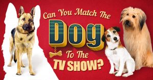 Can You Match the Dog to the TV Show? 🐩 Quiz