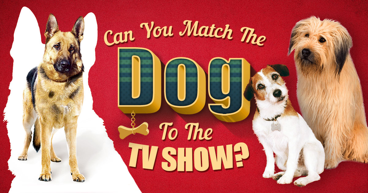 Can You Match the Dog to the TV Show? 🐩