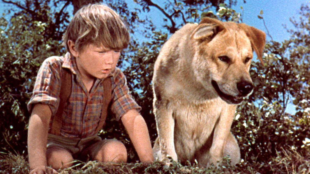 Can You Name These 1950s Family Movies? 04
