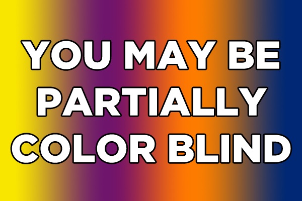 You got 10 out of 15! 🌈 Can You Pass a Color Blind Test?