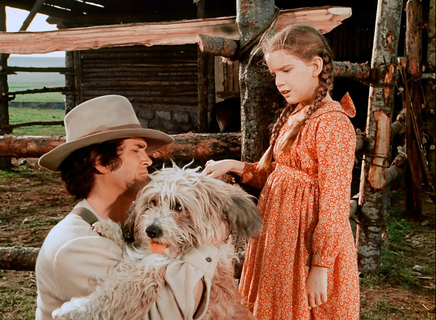 How Well Do You Know “Little House on the Prairie”? 19