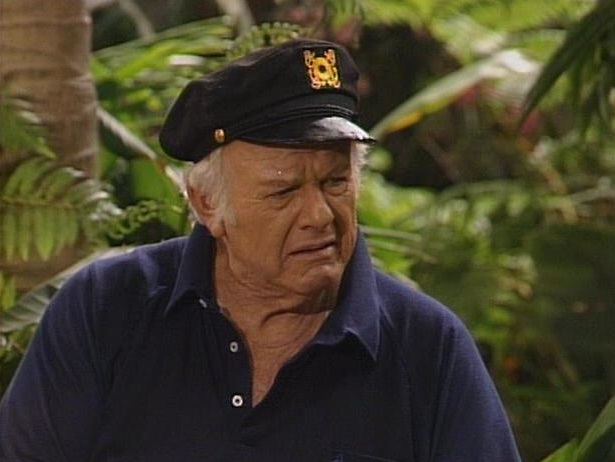 Classic TV Quiz: Can You Match The Actors To The 60s TV Shows? 05 alan hale jr gilligans island