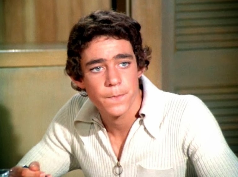 Classic TV Quiz: Can You Match The Actors To The 60s TV Shows? 12 barry williams brady bunch