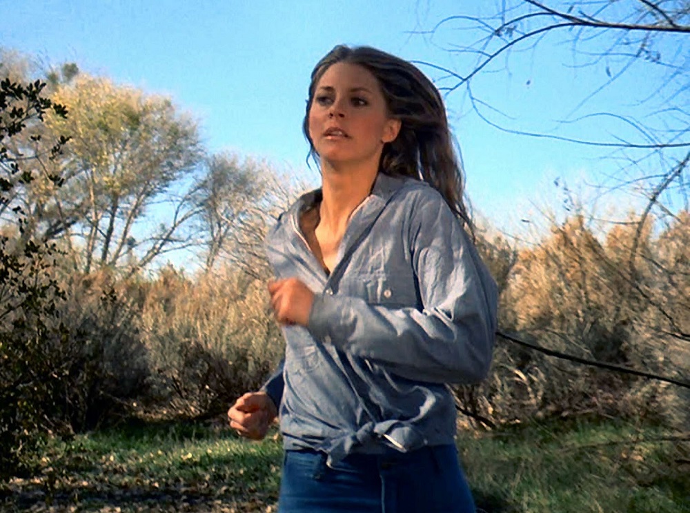 Classic TV Quiz: Can You Match The Actress To The 70s TV Show? 10 the bionic woman lindsay wagner