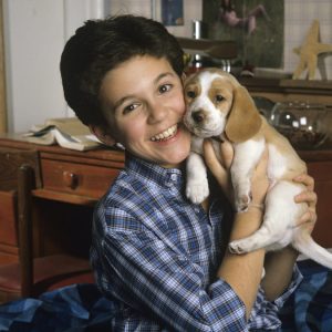 Pick Zombie Apocalypse Team To Know If You Survived Quiz Fred Savage