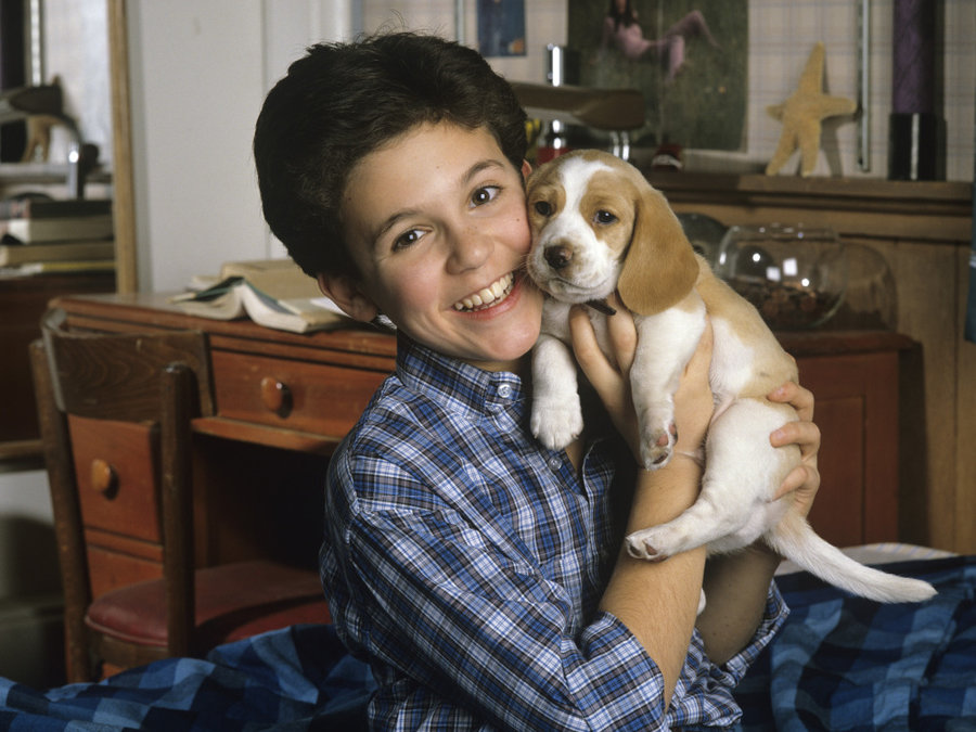 Classic TV Quiz: Can You Match The Actors To The 80s TV Shows? 11 the wonder years fred savage