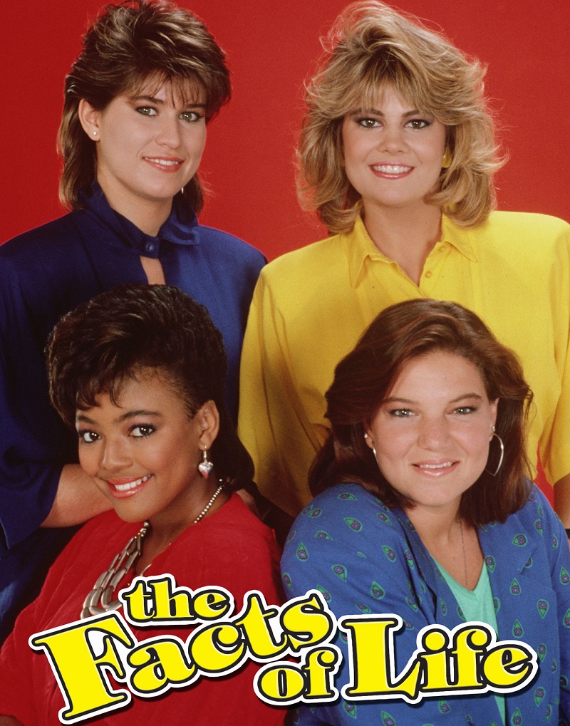 Classic TV Quiz: How Many Seasons Did These TV Shows Last? 03 the facts of life
