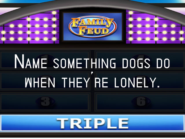 How Well Would You Do on “Family Feud”? 15