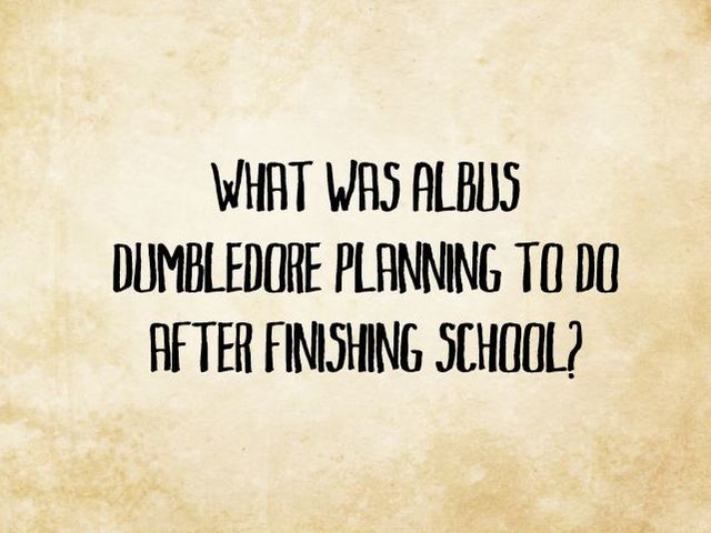 Dumbledore Quiz 12