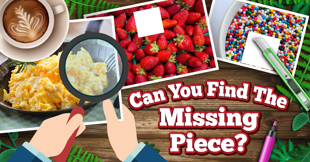 Can You Find the Missing Piece?