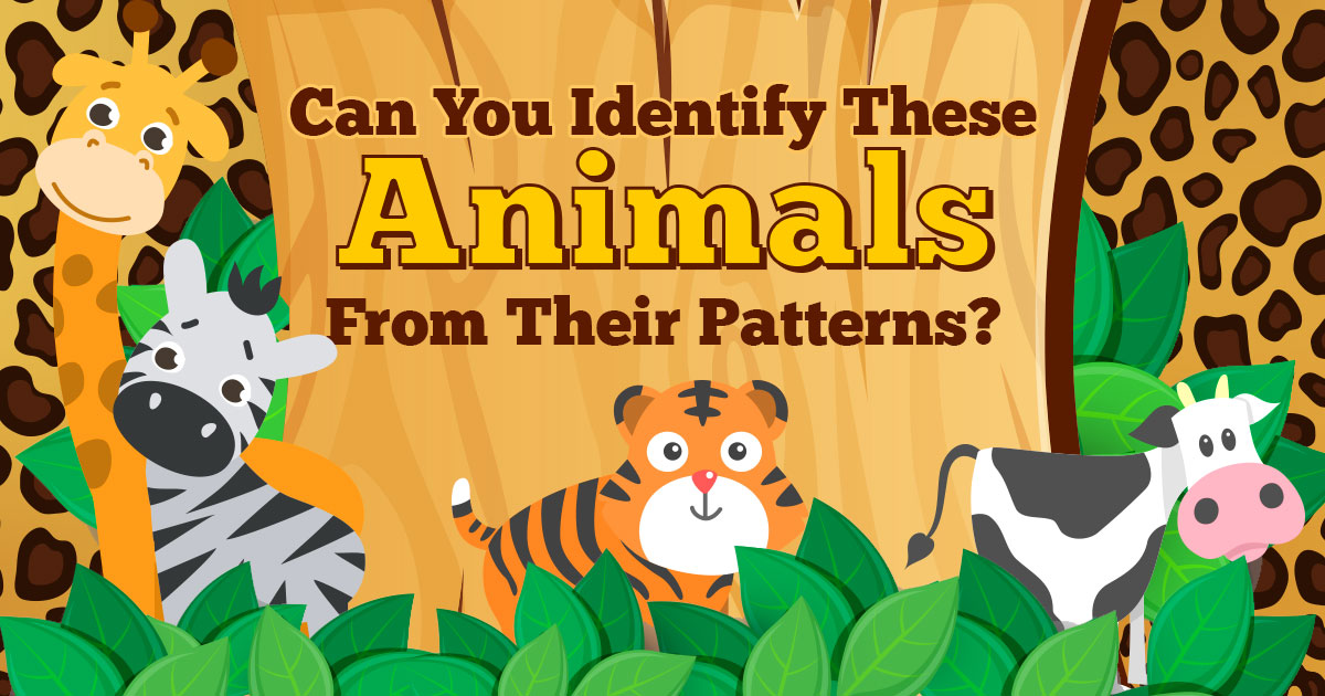 Can You Identify These Animals from Their Patterns?