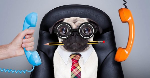 Can You Actually Be A Quiz Writer? (We’re Hiring!) Can You Actually Be A Quiz Writer? (We’re Hiring!)