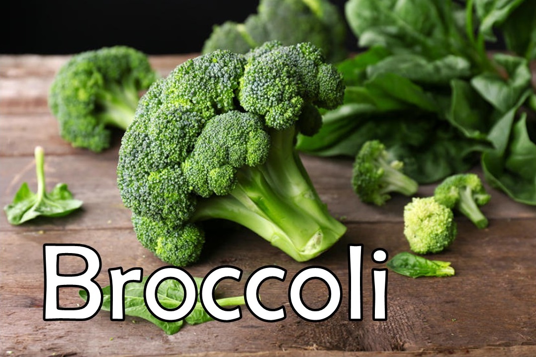 Can We Guess Your Age by the Food You Hate? 🍔 Broccoli