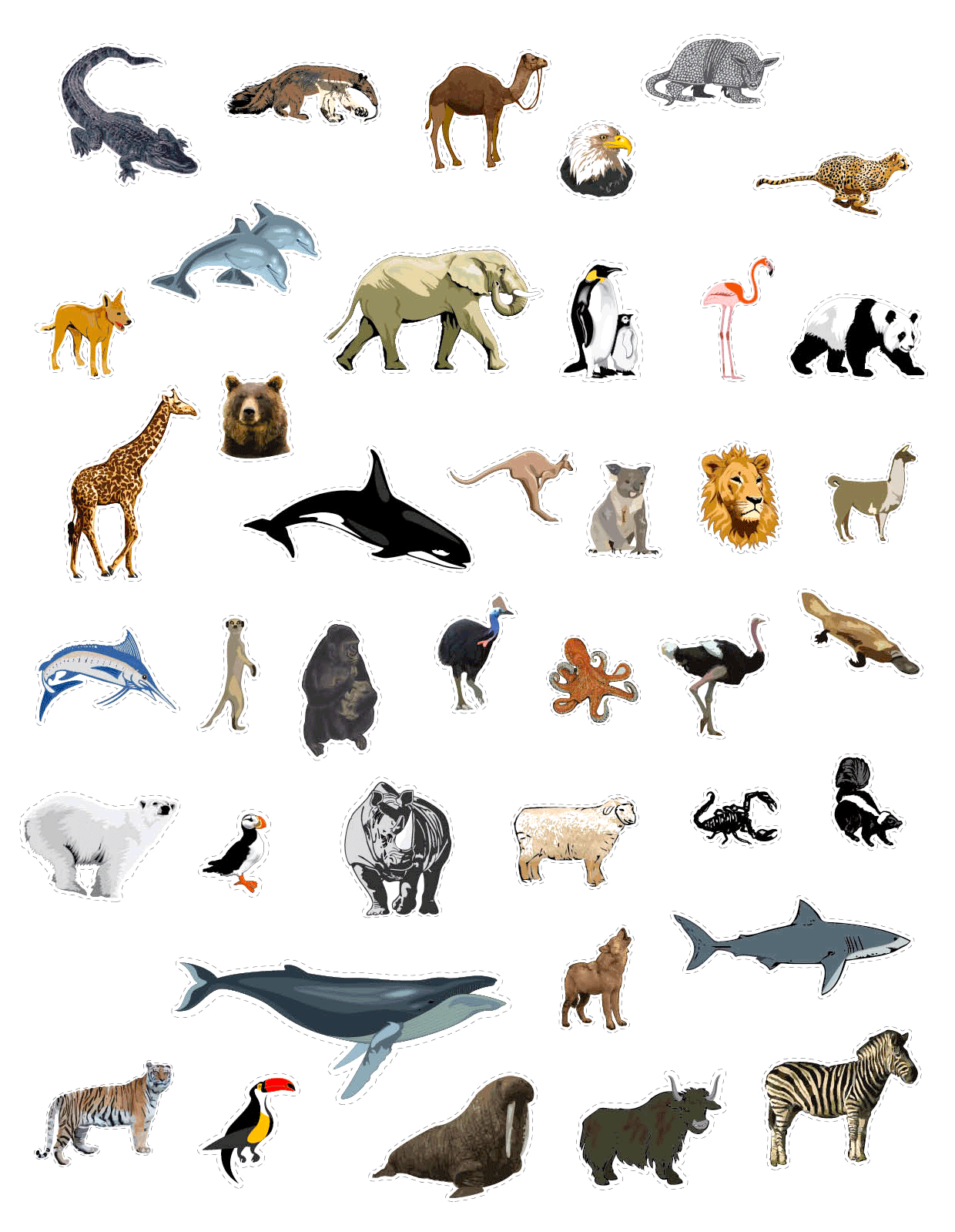 Can You Name These 40 Animals In Five Minutes?