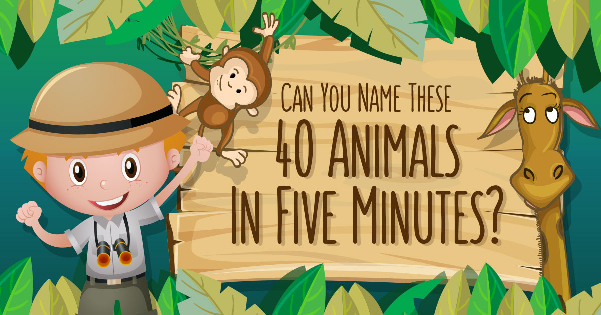 Can You Name These 40 Animals In Five Minutes?🐅🐫🐑🐢🐋