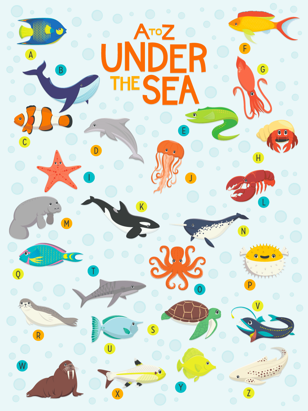 Can You Name These A-Z Sea Animals? 🐠🐡🦀🐬🐢