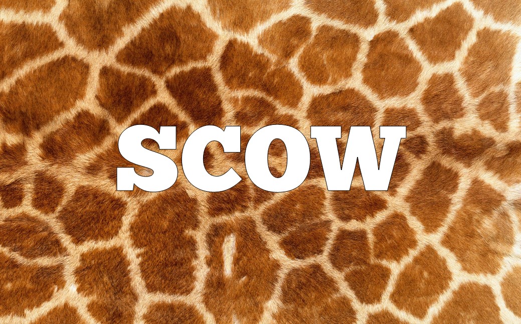 🦁 Can You Unscramble These Animal Anagrams? Slide58