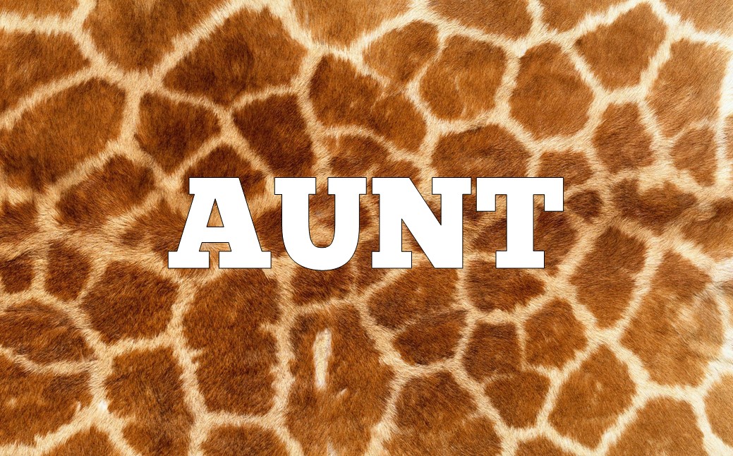 🦁 Can You Unscramble These Animal Anagrams? Slide138