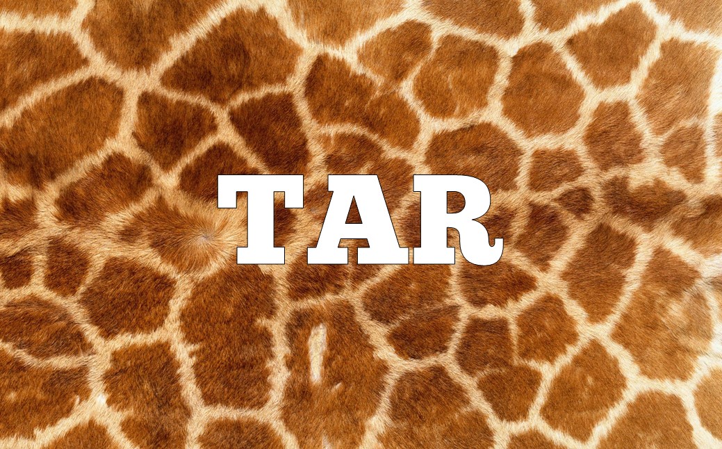 🦁 Can You Unscramble These Animal Anagrams? Slide148