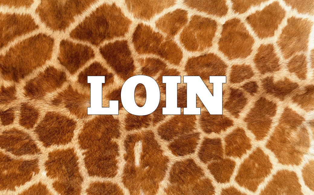 🦁 Can You Unscramble These Animal Anagrams? Slide88