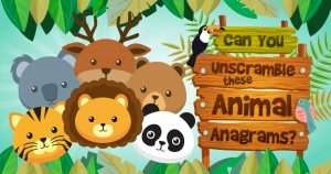 🦁 Can You Unscramble These Animal Anagrams? Quiz