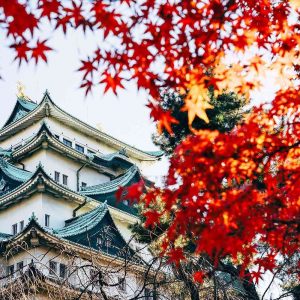 🏯 Journey Through Asia to Unlock Your True Travel Personality 🛕 Nagoya, Japan
