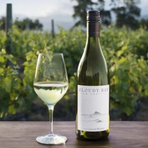 🍺 Pick Some Booze and We’ll Guess How Old You Act Sauvignon Blanc