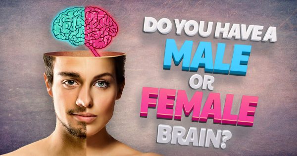 Do You Have a Male or Female Brain?