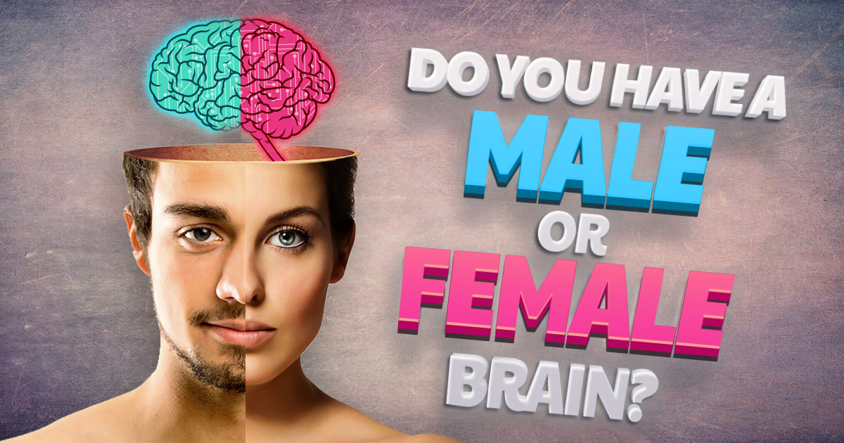 Do You Have a Male or Female Brain?