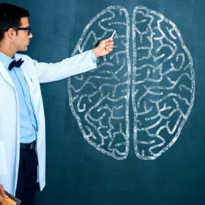 📚 If You Can’t Pass This Quiz, You Need to Repeat High School Cerebrum