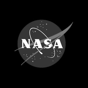 Can You Recognize These Popular Logos Without Color? Quiz NASA