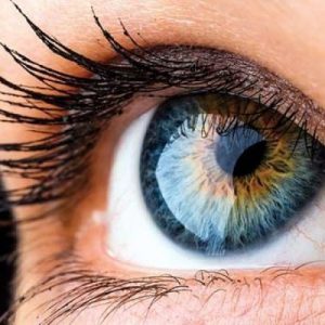 Can You Pass This General Knowledge Quiz That Gets Progressively Harder With Each Question? Sight