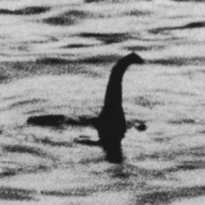 Who Are You In A Parallel Universe? Quiz Loch Ness Monster