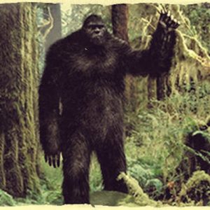 Who Are You In A Parallel Universe? Quiz Bigfoot
