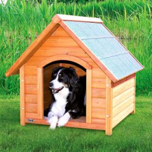 🐶 Build a Dog and We’ll Guess Your Exact Age and Height 