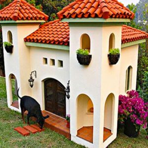 🐶 Build a Dog and We’ll Guess Your Exact Age and Height 