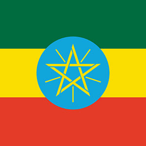 Only Someone That Knows Everything Can Score 12/15 on This General Knowledge Quiz Ethiopia