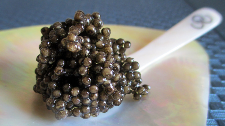 Only People With a 150 IQ Can Get 10/15 on This Mixed Knowledge Quiz 05 Caviar