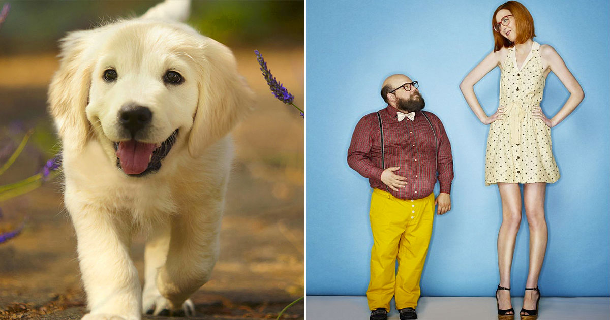 🐶 Build a Dog and We'll Guess Your Exact Age and Height Quiz