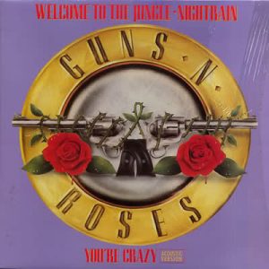 Tell Us Your Favorite Songs and We’ll Guess Your Favorite Boyband Guns N\' Roses - \