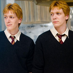 Harry Potter House Quiz Fred/George Weasley