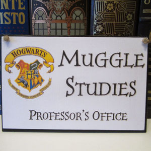 Harry Potter House Quiz Muggle Studies