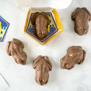 Harry Potter House Quiz Chocolate Frogs